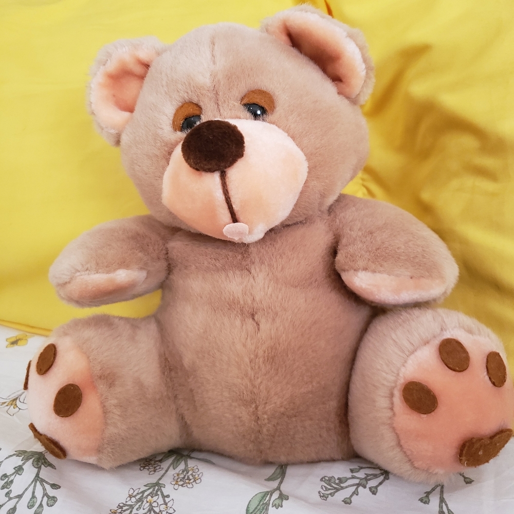 No name Beige Teddy bear